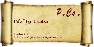 Pély Csaba névjegykártya